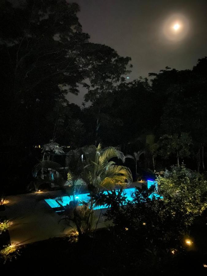 La Amapola Lodge, Bungalow En Peninsula De Osa. Barrigones Exteriör bild